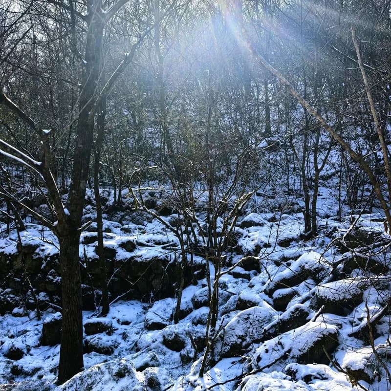 📌一日徒步|杭州临安百丈岭往返线🚶7h