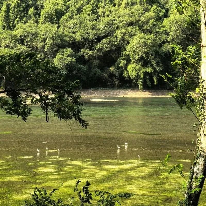 📌一日徒步|桂林阳朔漓江精华段线路🚶5h